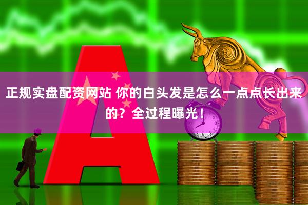 正规实盘配资网站 你的白头发是怎么一点点长出来的？全过程曝光！