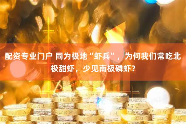 配资专业门户 同为极地“虾兵”，为何我们常吃北极甜虾，少见南极磷虾？