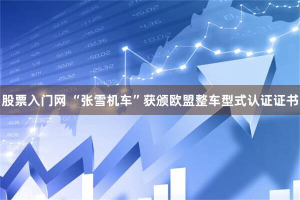 股票入门网 “张雪机车”获颁欧盟整车型式认证证书