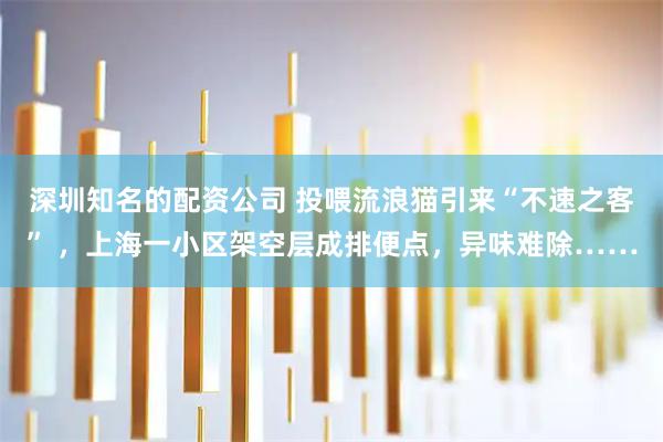 深圳知名的配资公司 投喂流浪猫引来“不速之客” ，上海一小区架空层成排便点，异味难除……